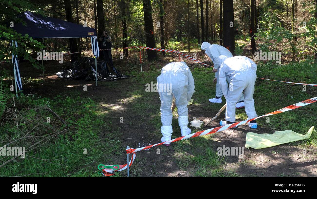 Polizeibeamte untersuchen den Waldboden in einem Wald in der Nähe von Heidenheim-Nietheim, Deutschland, 4. Juni 2010. Am 03. Juni fand ein Spaziergänger mit Hund die Leiche einer Frau an diesem Ort, nicht weit von wo die Übergabe der Lösegeld für den entführten Maria Boegerl am 12. Mai 2010 gescheitert war. Eine Autopsie durchgeführt auf den Körper wird die Identität klar. Foto: STEFAN PUCHNER Stockfoto