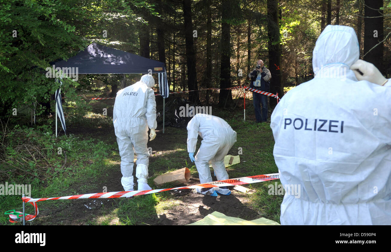Polizeibeamte untersuchen den Waldboden in einem Wald in der Nähe von Heidenheim-Nietheim, Deutschland, 4. Juni 2010. Am 03. Juni fand ein Spaziergänger mit Hund die Leiche einer Frau an diesem Ort, nicht weit von wo die Übergabe der Lösegeld für den entführten Maria Boegerl am 12. Mai 2010 gescheitert war. Eine Autopsie durchgeführt auf den Körper wird die Identität klar. Foto: STEFAN PUCHNER Stockfoto