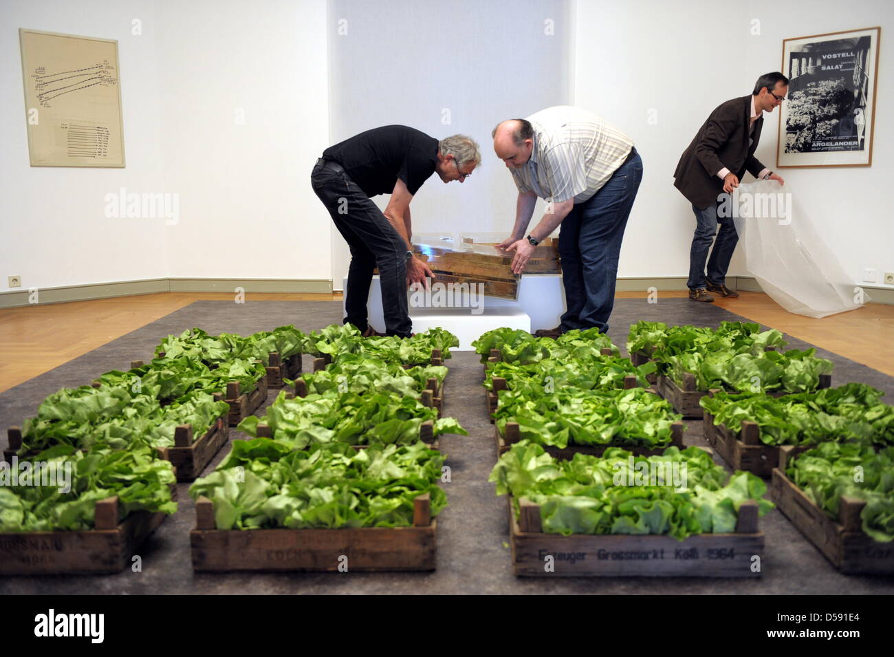 Mitarbeiter des Museums Morsbroich installieren das Happening "Salat" in Leverkusen, Deutschland, 2. Juni 2010. Deutschen Künstlers Wolf Vostell (1932-1998) entdeckt die Straße Kunst Zwecken vor sechs Jahrzehnten, Morsborich Museum widmet eine umfassende Retrospektive auf der Pionier der deutschen Aktionskunst von 06 Juni bis 15 August. Foto: FEDERICO GAMBARINI Stockfoto