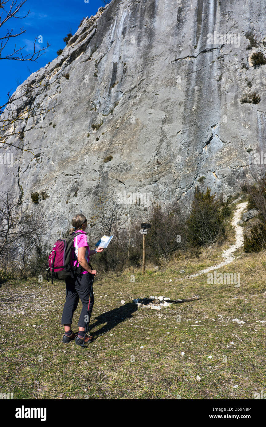 Weibliche Kletterer prüft Reiseführer vor Klippe Stockfoto