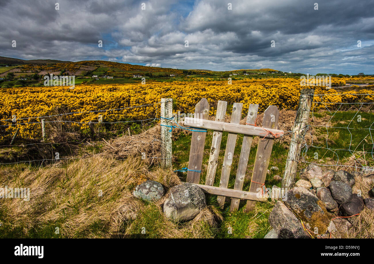 Foto von Irland Stockfoto