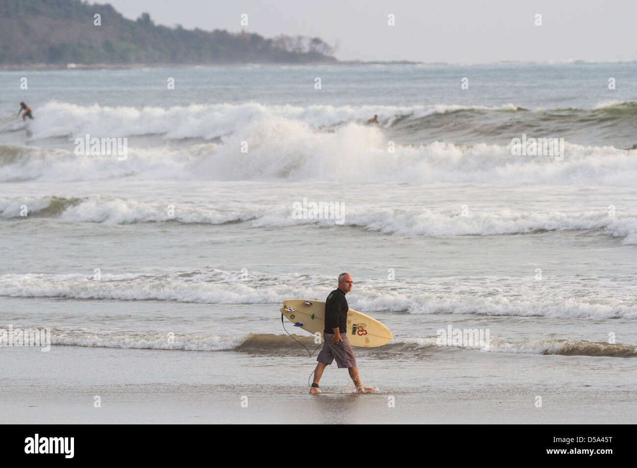 Surfer Surfbrett in den Ozean in Playa Santa Teresa, Provinz Puntarenas Costa Rica zu tragen. Stockfoto
