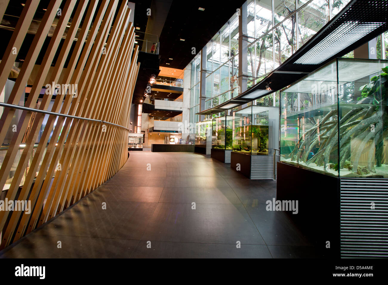 CosmoCaixa-Museum, Barcelona, Spanien Stockfoto