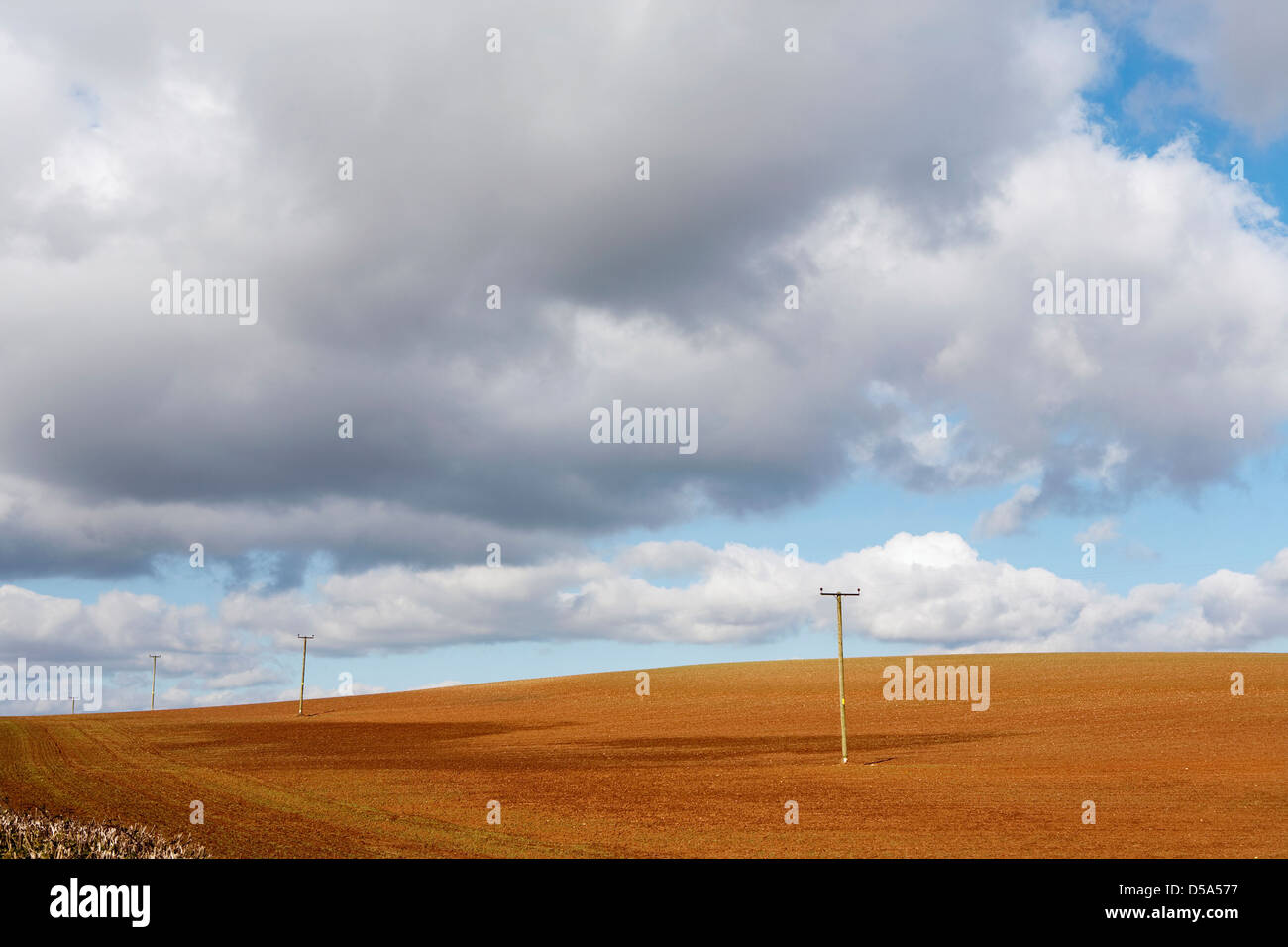 Kraftübertragung Pole auf der leeren Gerstenfeld im Sommer Stockfoto