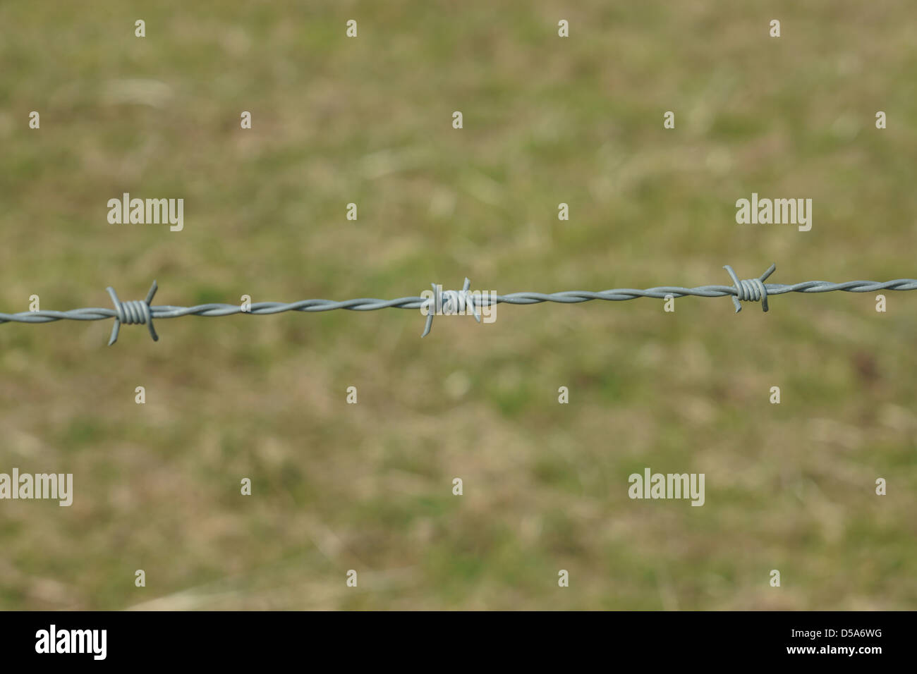 glänzendes Metall Stacheldraht Rasen Schlamm Stockfoto