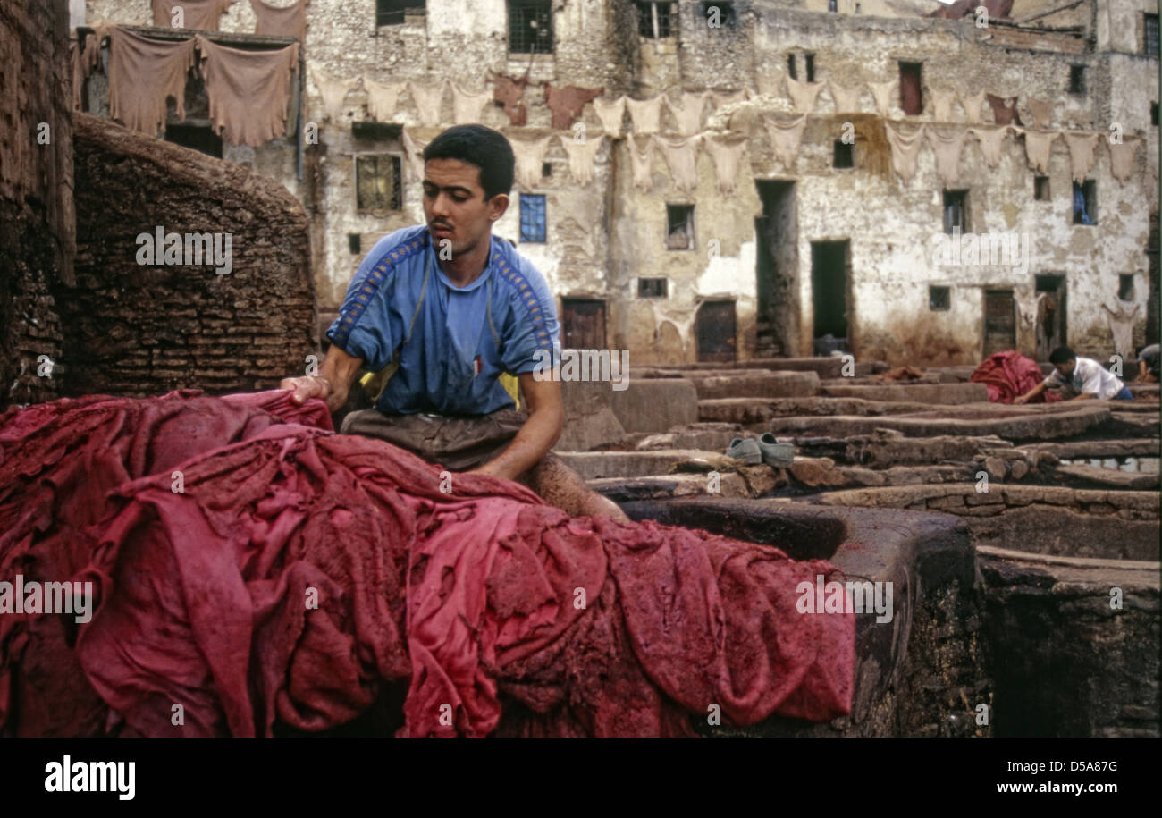 Tanner arbeitet an rote Häute in Fes el Bali Stockfoto