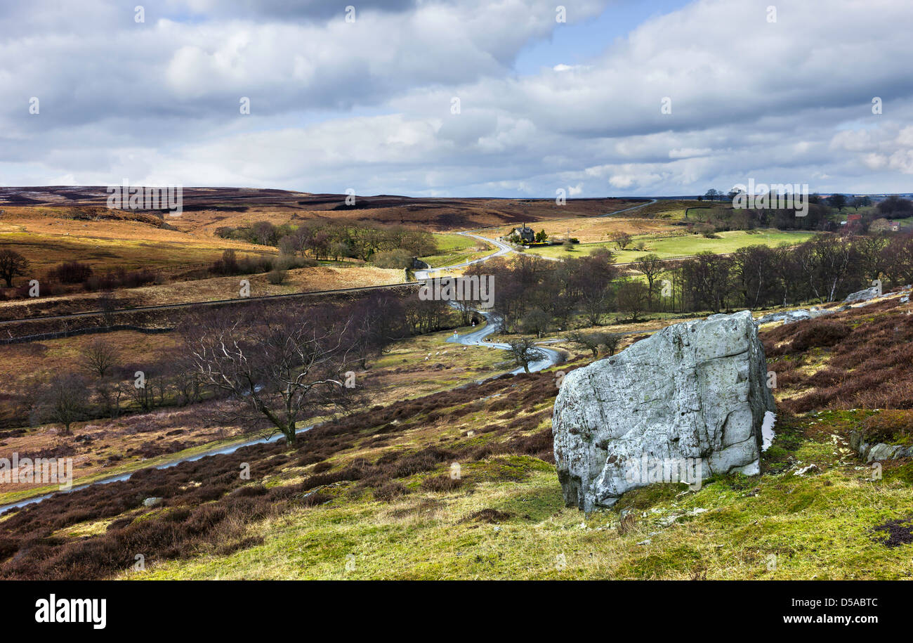 North York Moors National Park im zeitigen Frühjahr in der Nähe von Dorf Goathland. Im Hintergrund kann ein einsames Bauernhaus zu sehen Stockfoto