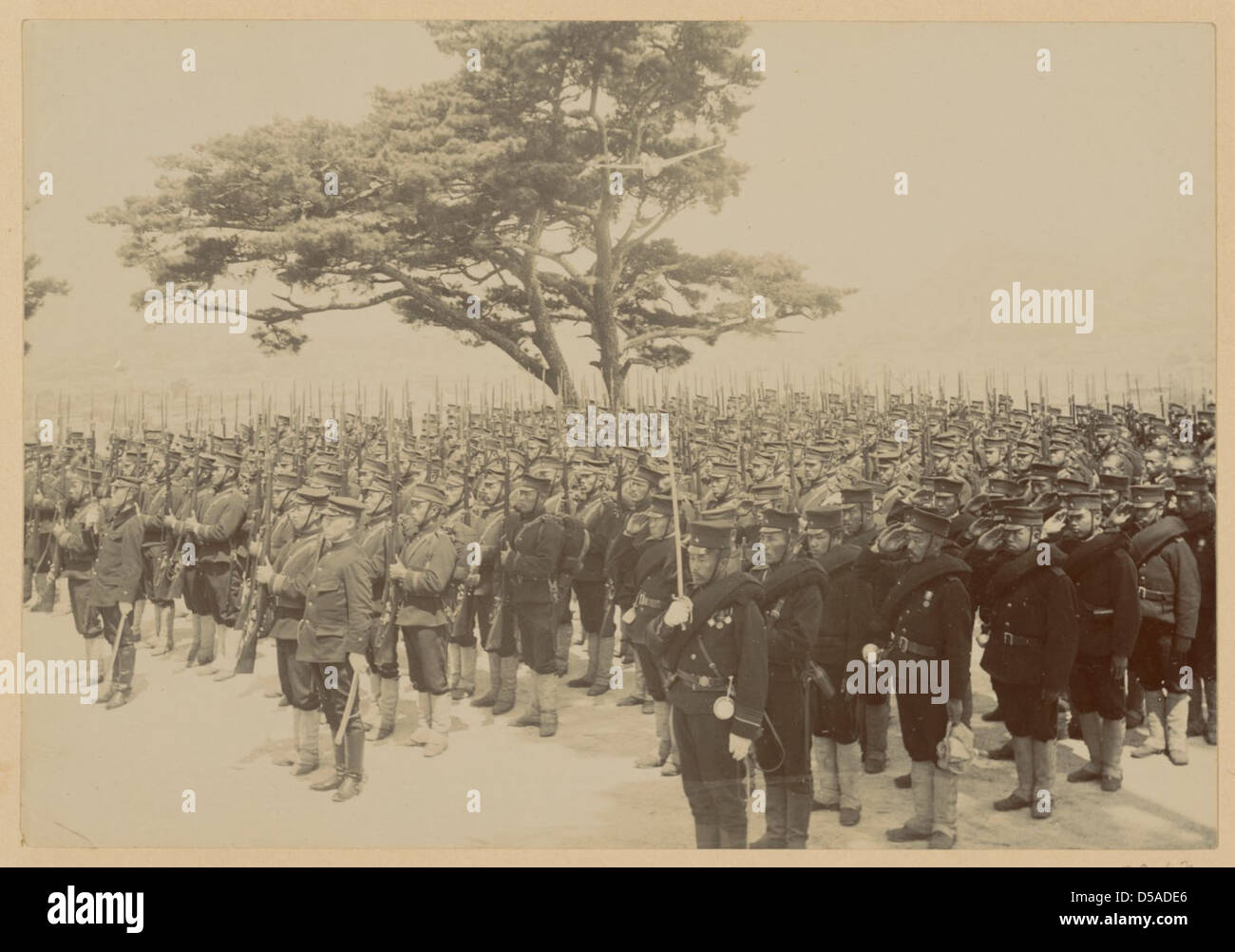 Japanische Infanterie Stockfoto
