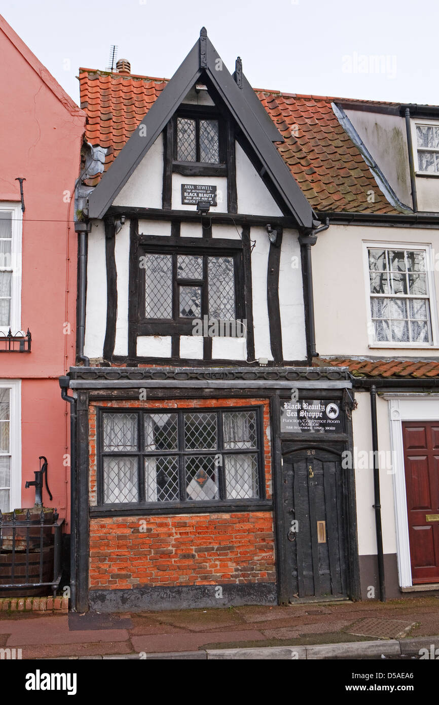 Der Black Beauty Tea Room In Great Yarmouth War Die Autorin