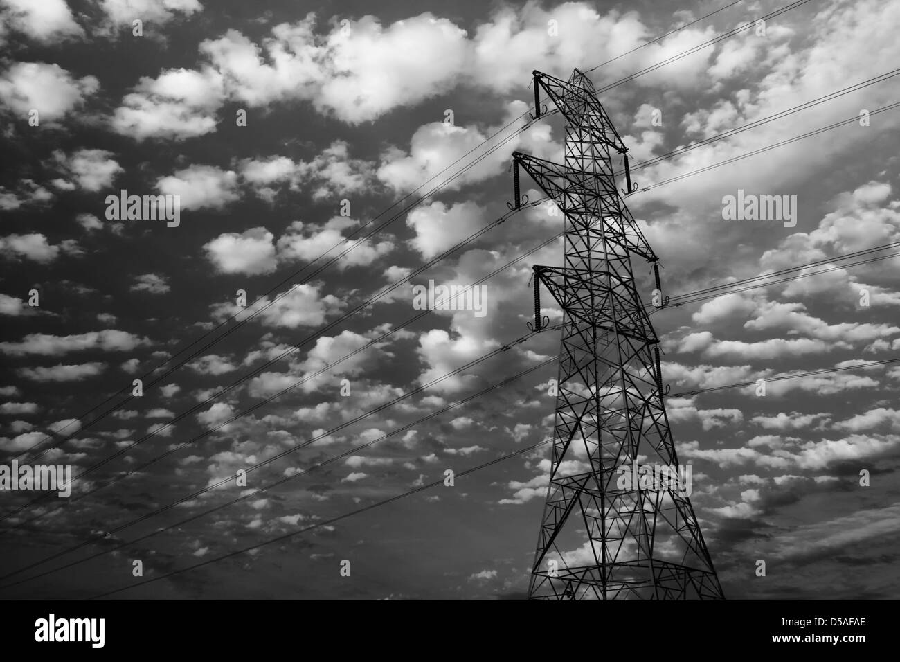 Strommast in Norfolk Landschaft, Großbritannien Stockfoto