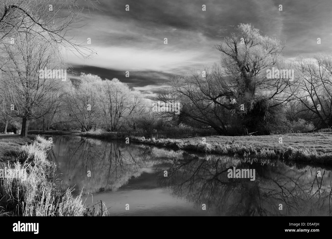 Fluß Waveney im winter Stockfoto