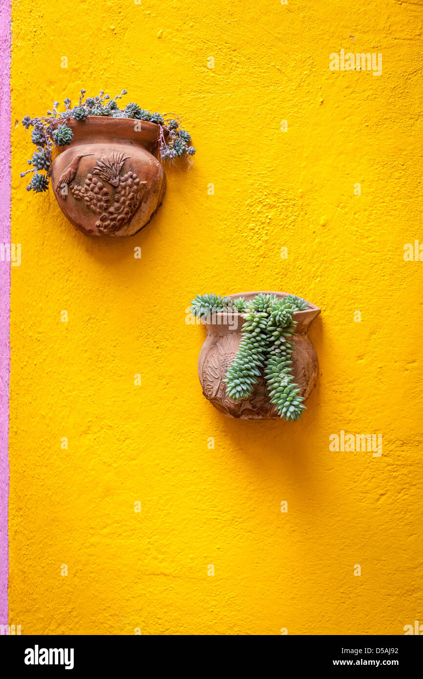 Gelbe Adobe Wand eines traditionellen mexikanischen Haus mit Blumentöpfen Stockfoto