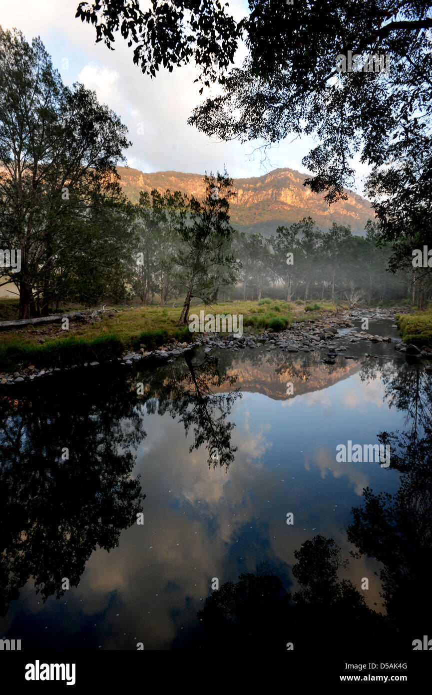 Nerang River Valley hinter Australiens Gold Coast liegt der üppige Nerang Valley Stockfoto