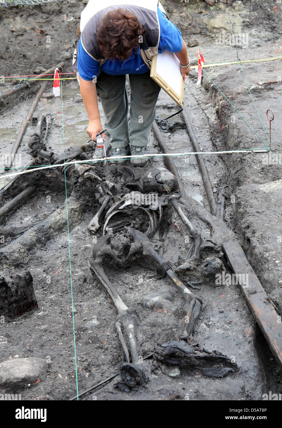 Ein Archäologe weist auf den Bestand an einer Muskete liegen neben Überreste von zwei Soldaten, die im Dreißigjährigen Krieg in Stralsund, Deutschland, 13. Juli 2010 gestorben. Es ist sehr wahrscheinlich, dass die beiden Landsquenets Wallensteins Truppen gehörten, die während einer Belagerung im Jahre 1628 überrannt wurden. Die Tatsache, dass Waffen gefunden werden ist eine außergewöhnliche Sache als in der Regel die getöteten Soldaten Sachen und Stockfoto