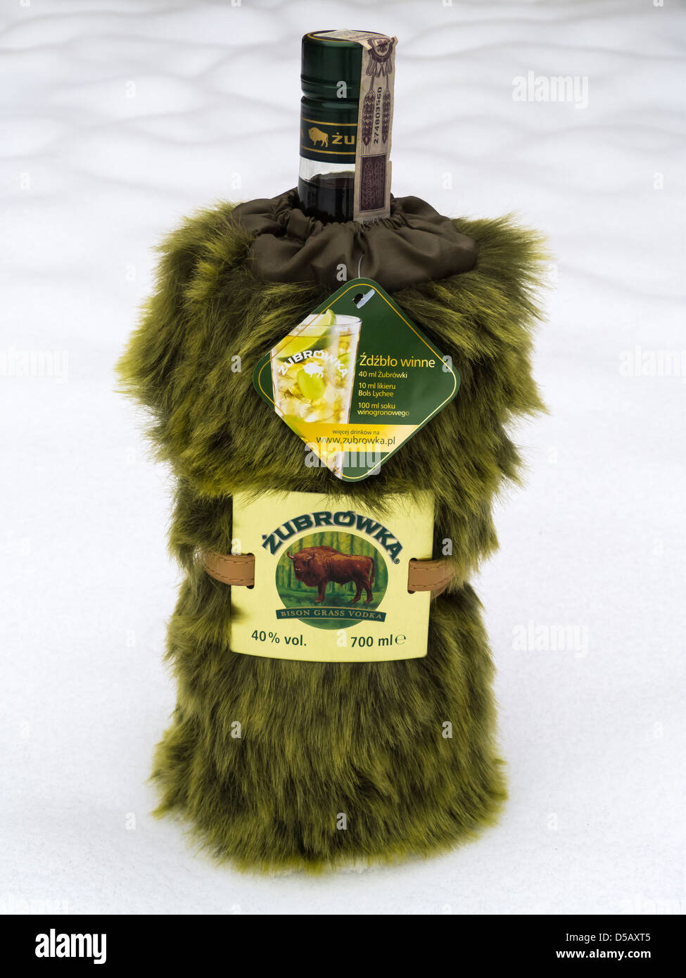 Zubrowka im Schnee Stockfoto