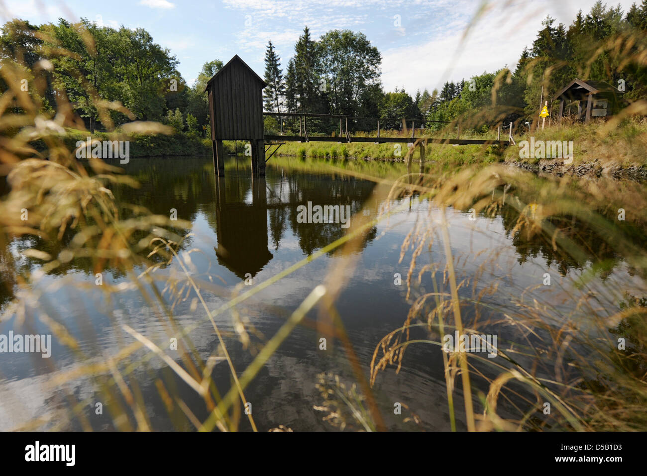 Das Bild zeigt einen Teich in ClausthalZellerfeld, Deutschland, 1