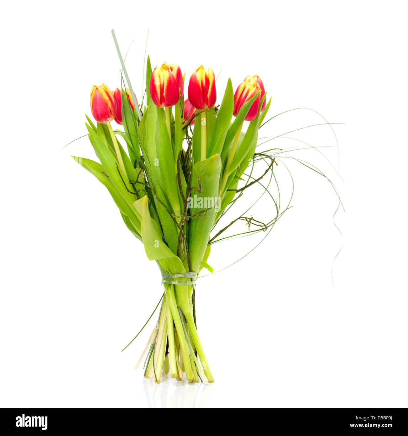 Bouquet von frischen Tulpen auf weißem Hintergrund (mit Beispieltext) Stockfoto