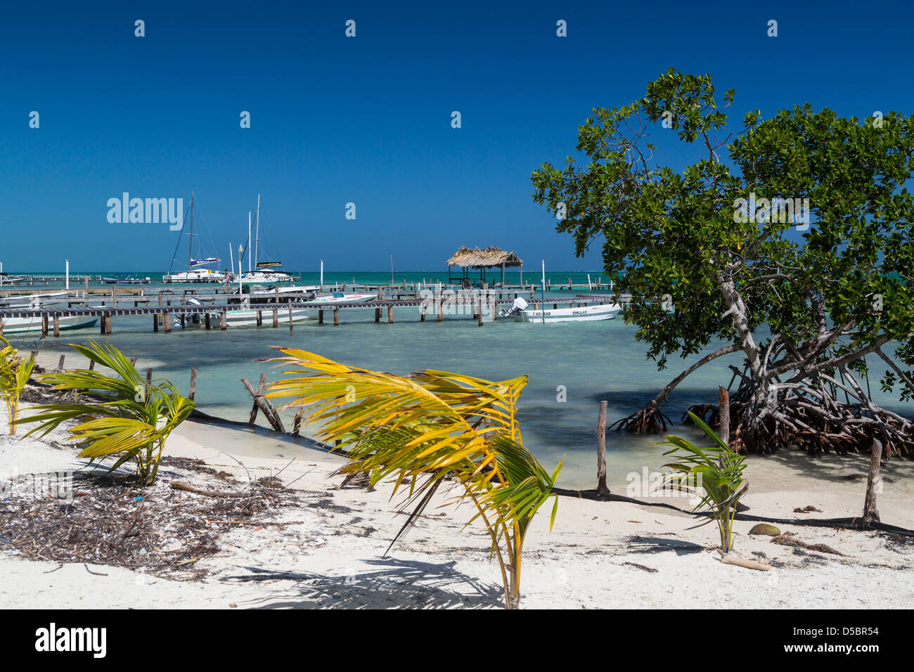 Ein Strand und Pier auf der tropischen Insel Cay Caulker, Belize, Caribbean. Stockfoto