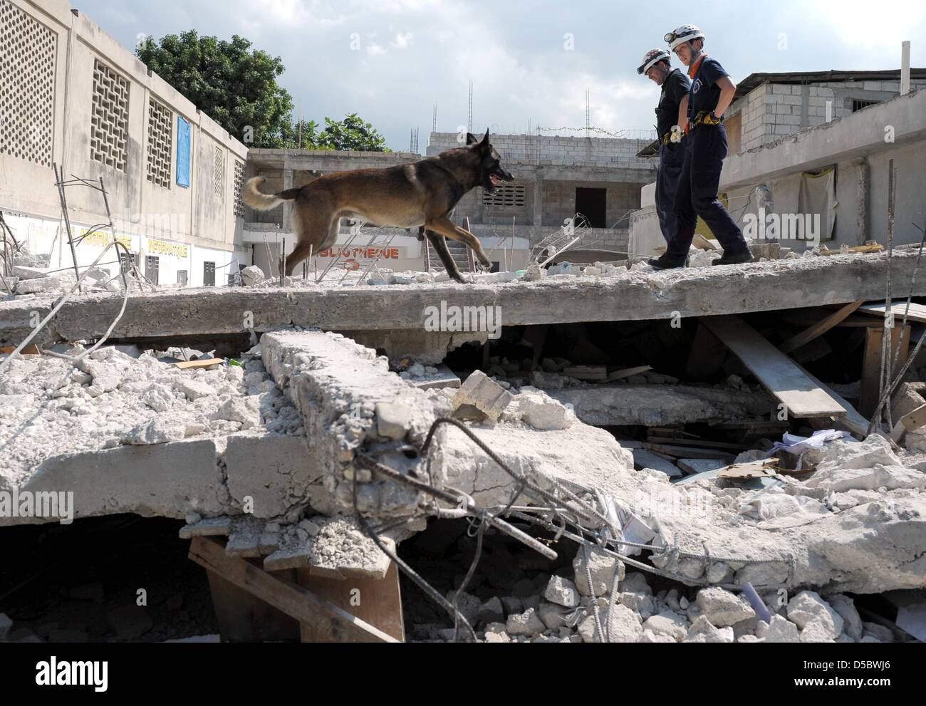 Ein Sniffer-Hund-Team von deutschen Rettungs- und Hilfskräfte Organisation katastrophenerschütterte (International Search and Rescue) sucht nach Überlebenden des Erdbebens am Dienstag in den Ruinen von Port-au-Prince, Haiti, 17 Januar 2010. Es wird befürchtet, dass die Erdbeben der Stärke 7 zwischen 50.000 und 100.000 Menschen getötet. Helfer, die Ankunft in Port-au-Prince wurden mit Chaos, Zerstörung, Pfähle o konfrontiert Stockfoto