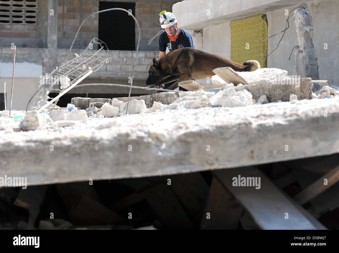Ein Sniffer-Hund-Team von deutschen Rettungs- und Hilfskräfte Organisation katastrophenerschütterte (International Search and Rescue) sucht nach Überlebenden des Erdbebens am Dienstag in den Ruinen von Port-au-Prince, Haiti, 17 Januar 2010. Es wird befürchtet, dass die Erdbeben der Stärke 7 zwischen 50.000 und 100.000 Menschen getötet. Helfer, die Ankunft in Port-au-Prince wurden mit Chaos, Zerstörung, Pfähle o konfrontiert Stockfoto