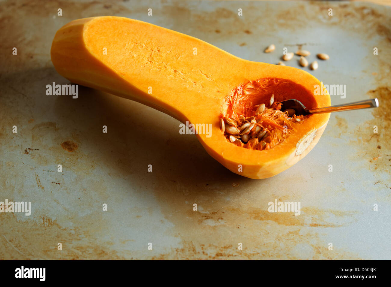 Butternut-Kürbis die Hälfte zum Kochen bereit Stockfoto