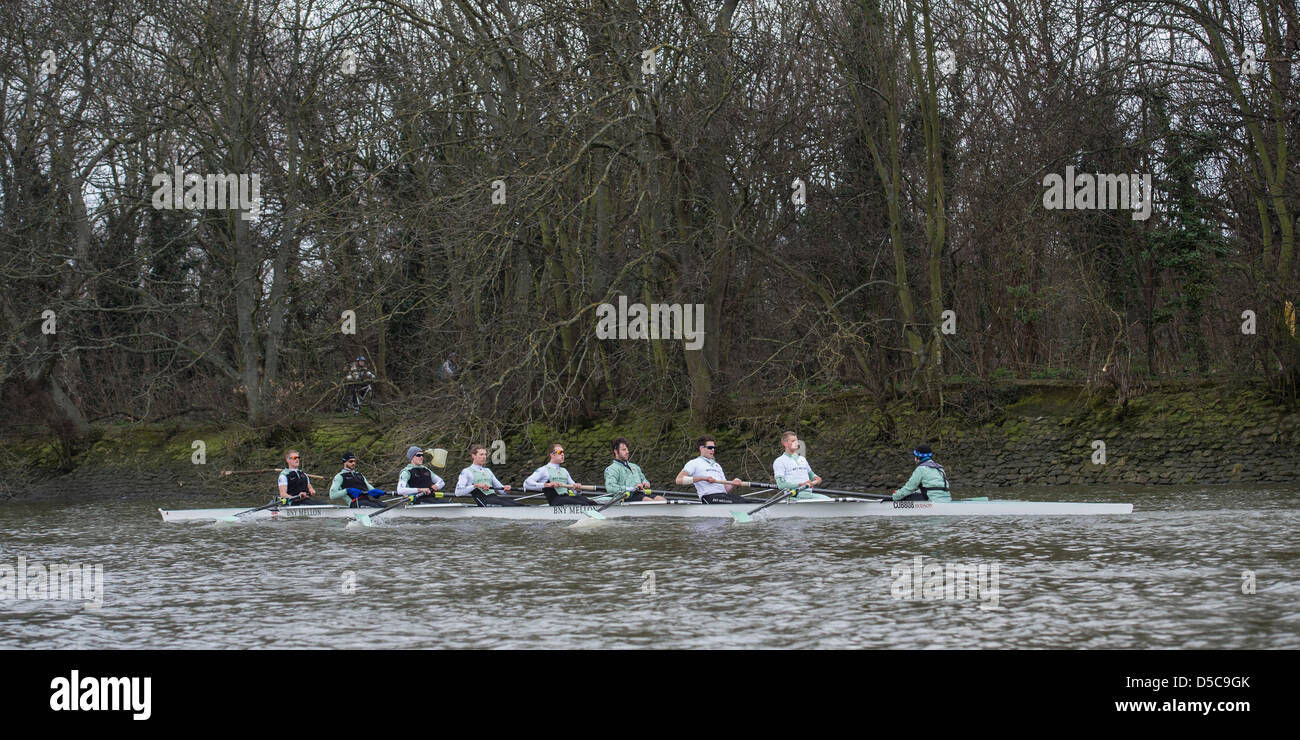 London, UK. 28. März 2013. .  Tideway Woche. Oxford & Cambridge Boote auf Praxis Ausflügen auf der Themse zwischen Putney und Mortlake in London UK, führende-bis zu den Universitäten Boat Race 2013 am Sonntag, 31. März 2013 stattfinden wird.    Cambridge Blau Boot:-Bogen: Grant Wilson, 2: Milan Bruncvik, 3: Alex Fleming, 4: Ty Otto, 5: George Nash, 6: Steve Dudek, 7: Alexander Scharp, Schlaganfall: Niles Garratt, Cox: Henry Fieldman. Stockfoto