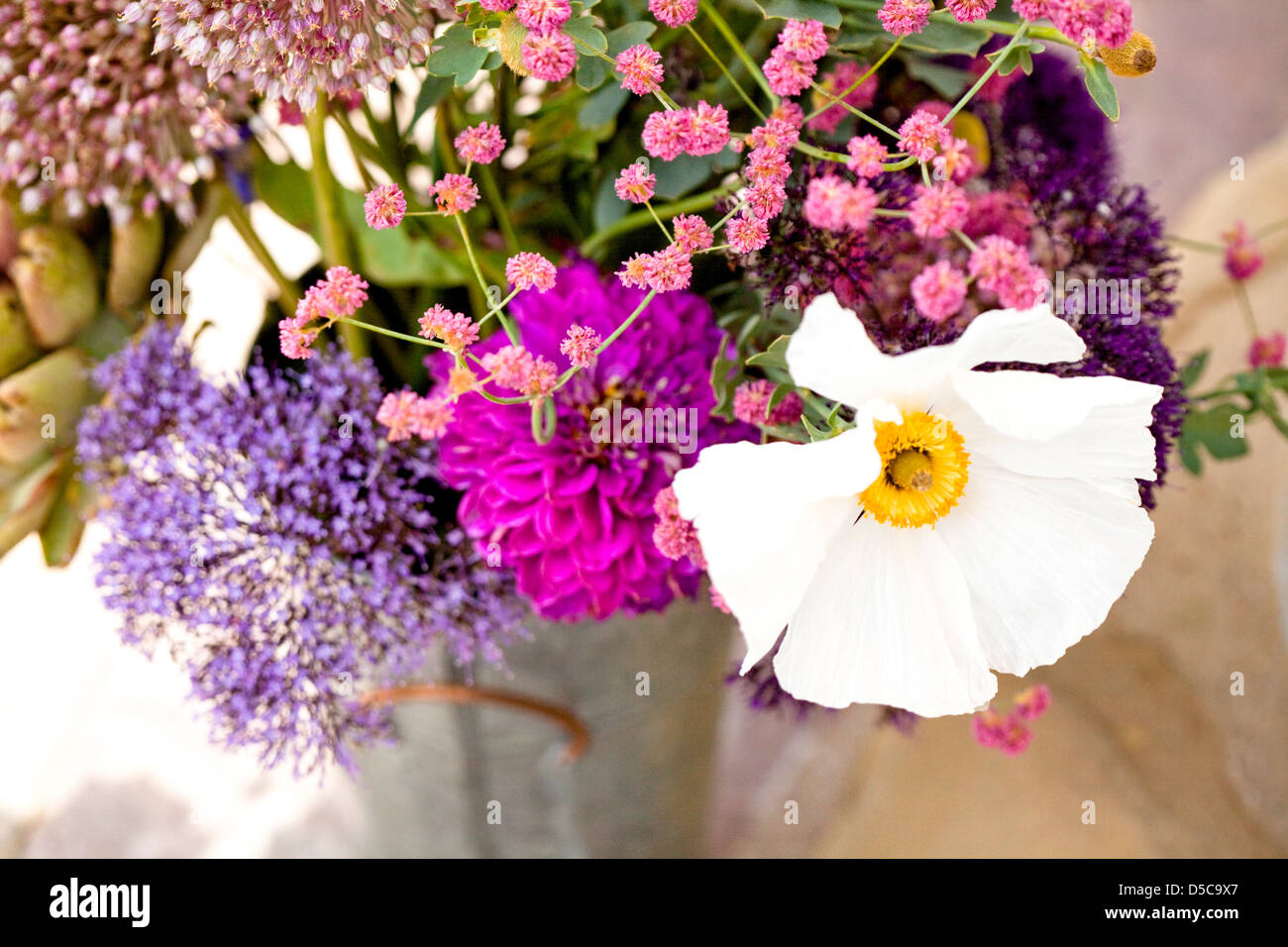 Blumen, rosa, lila, weiß, gelb, Bauern-Markt-Blumen Stockfoto