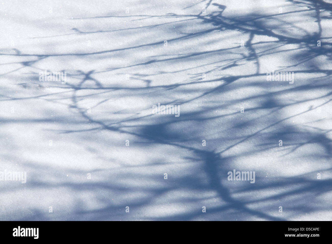 Winter abstrakten Hintergrund aus weißem Schnee Stockfoto