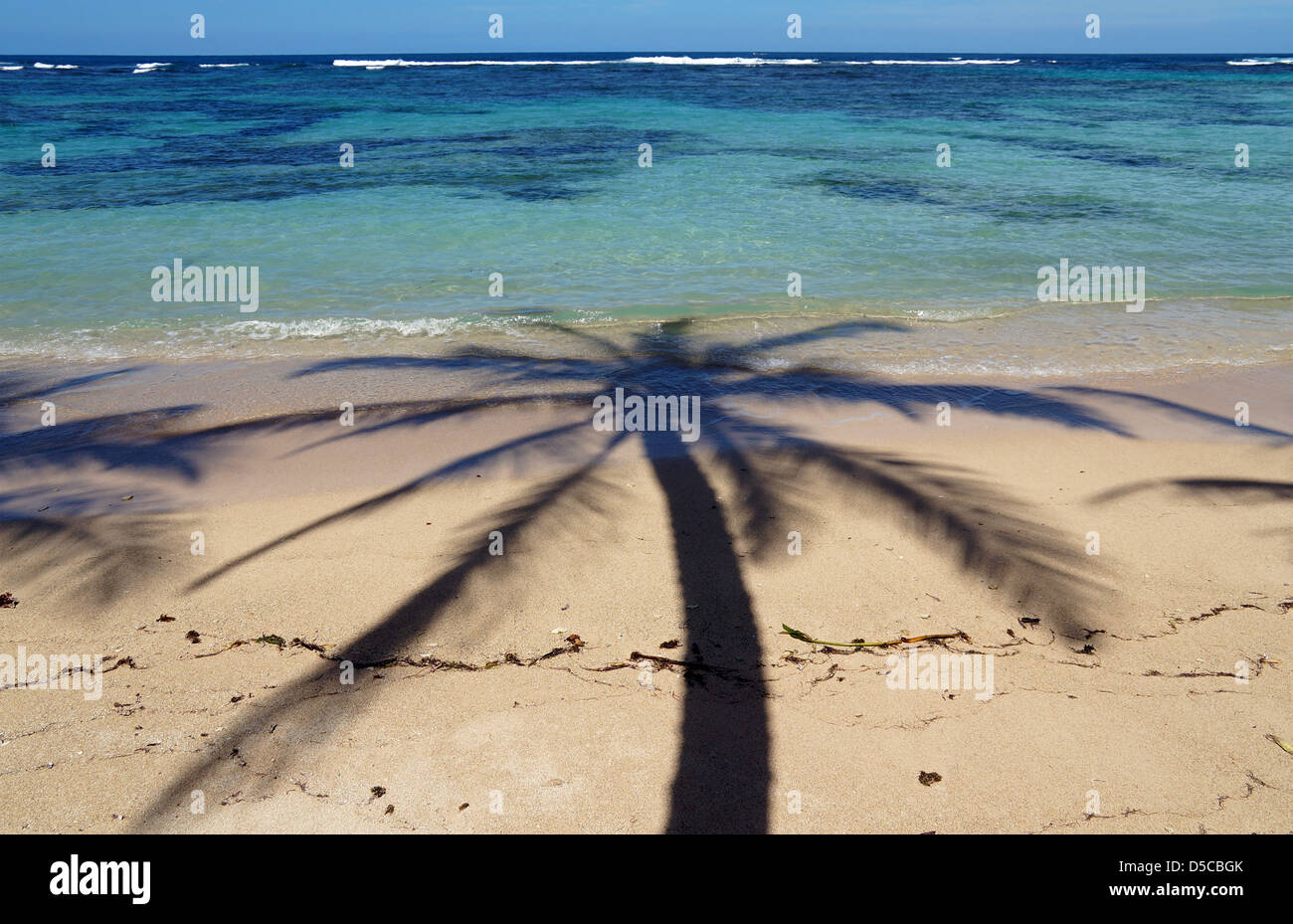 Kokospalme Baum Schatten an einem Sandstrand mit kristallklarem Wasser der Lagune im Hintergrund Stockfoto