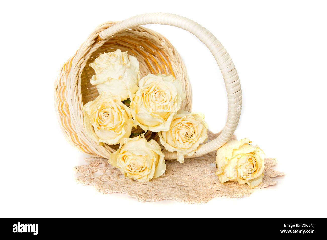 Weiße Rosen im Korb mit gestrickten Deckchen isoliert auf weißem Hintergrund getrocknet. Stockfoto
