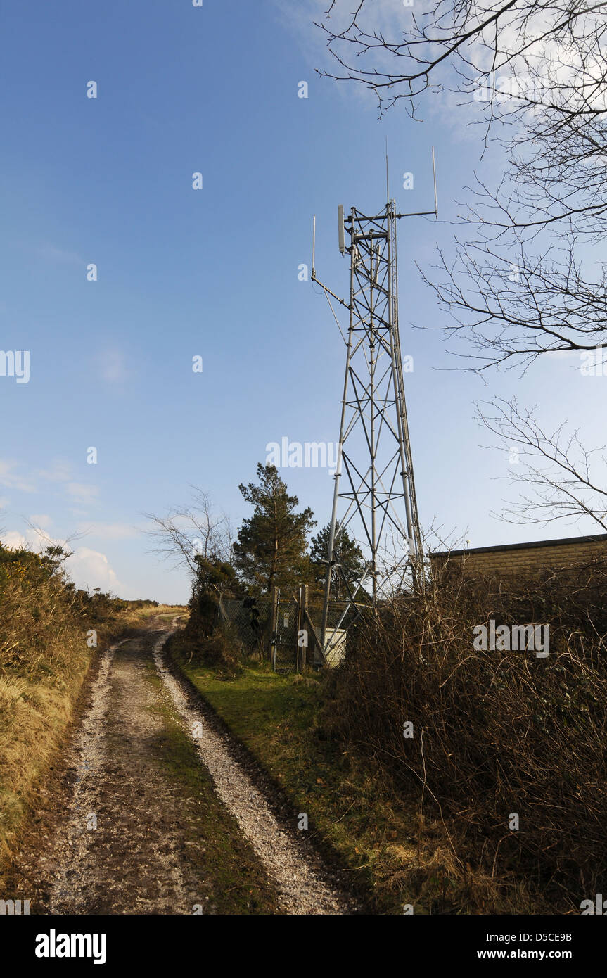 Handy-Mast in der Landschaft, England, UK Stockfoto
