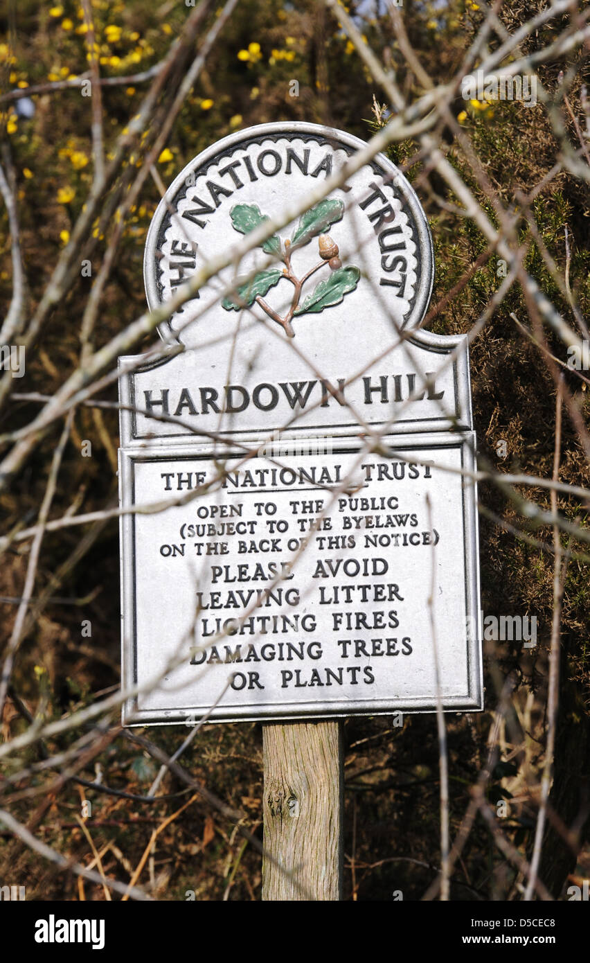 Hardown Hill, Dorset, England, UK Stockfoto
