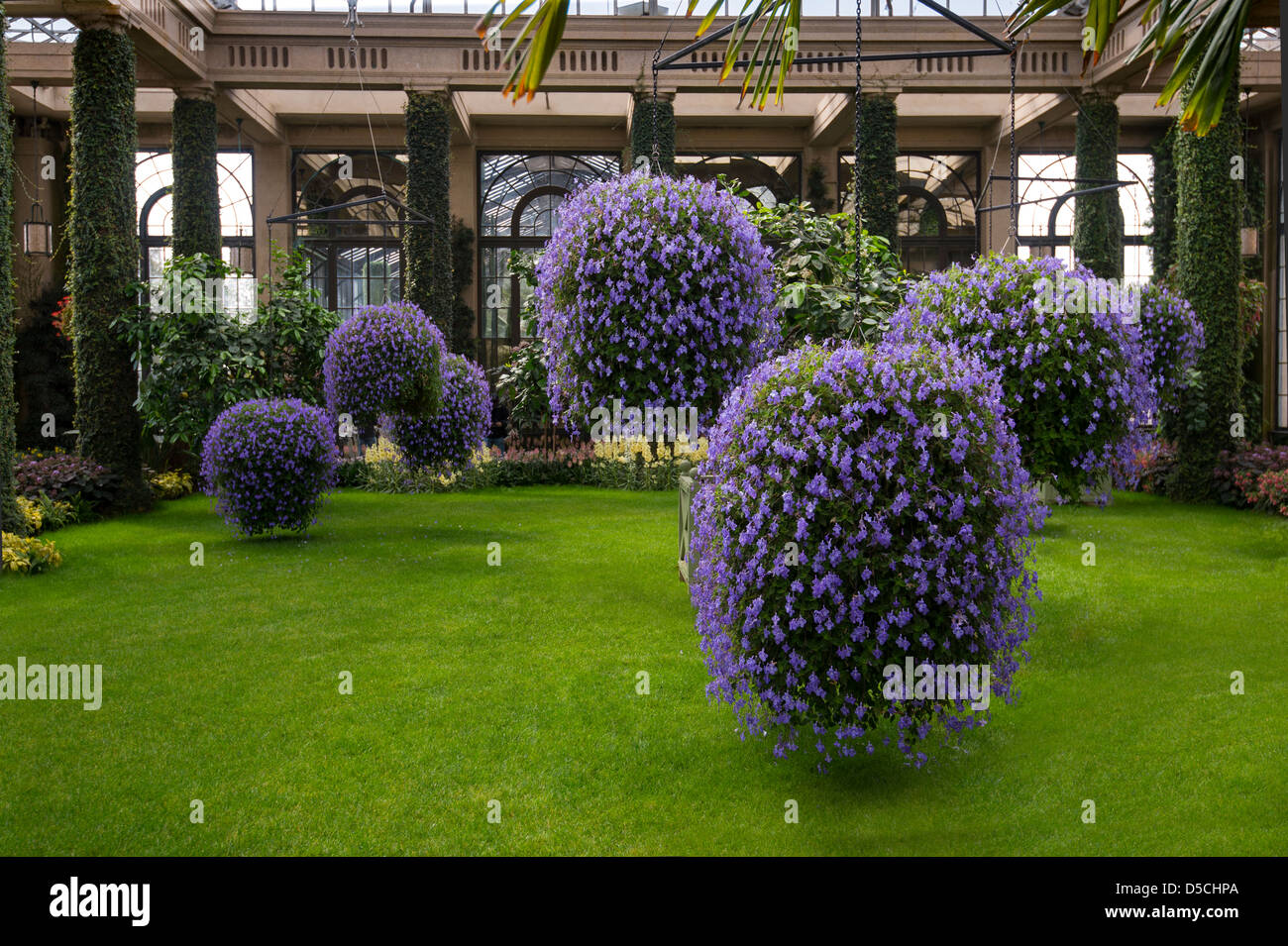 Hängende Blumenkörbe, Longwood Gärten, Pennsylvania, USA Stockfoto