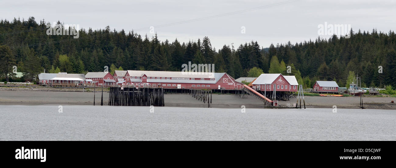 Eisige gerade Punkt Hoonah, Alaska. Stockfoto