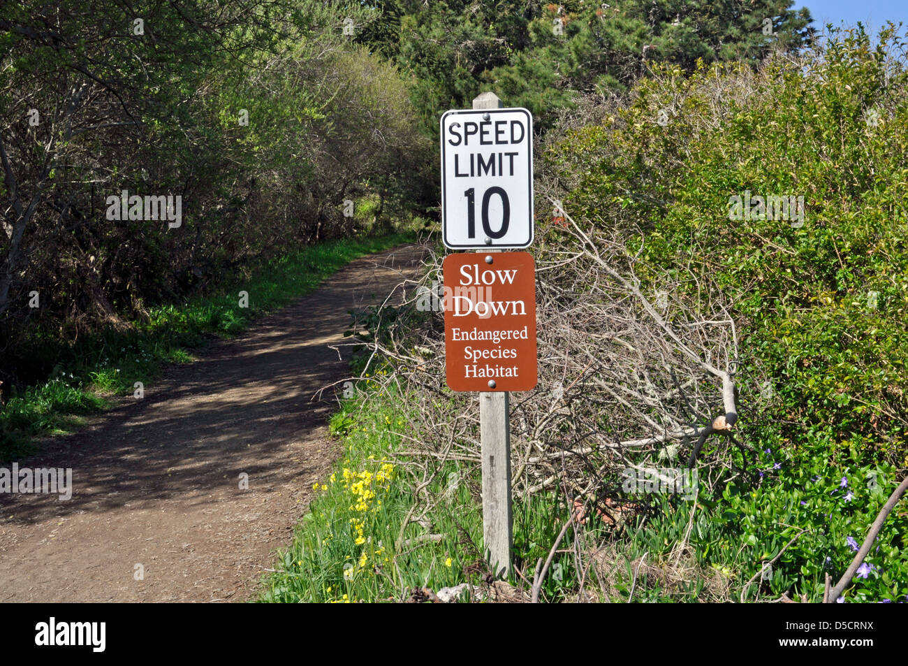 Tempolimit bedrohte Arten Zeichen, Pacifica, Kalifornien, USA Stockfoto