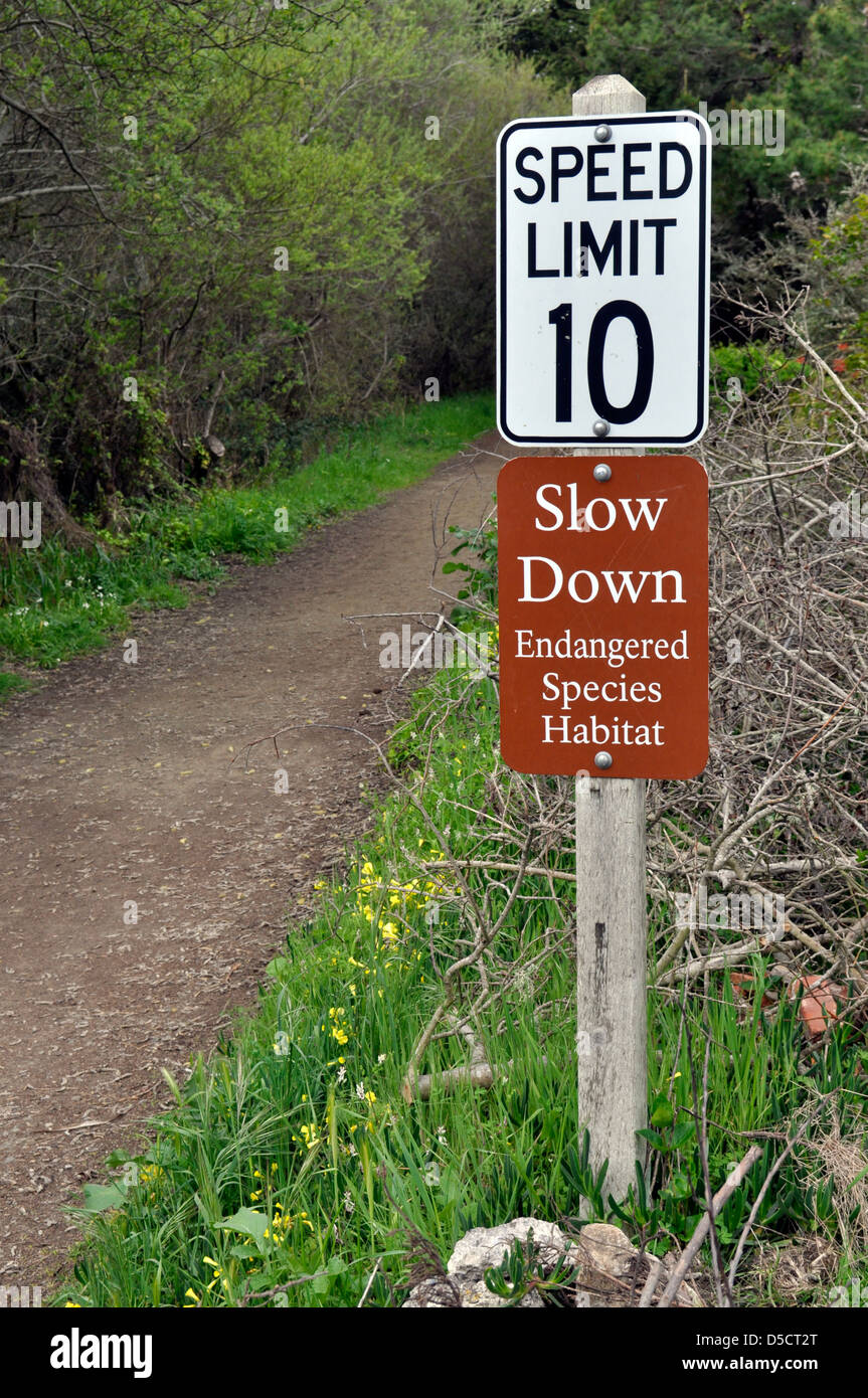Tempolimit bedrohte Arten Zeichen, Pacifica, Kalifornien, USA Stockfoto