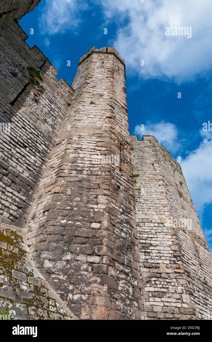 Wales, Grafschaft Gwynedd, Caernarfon Castle Stockfoto