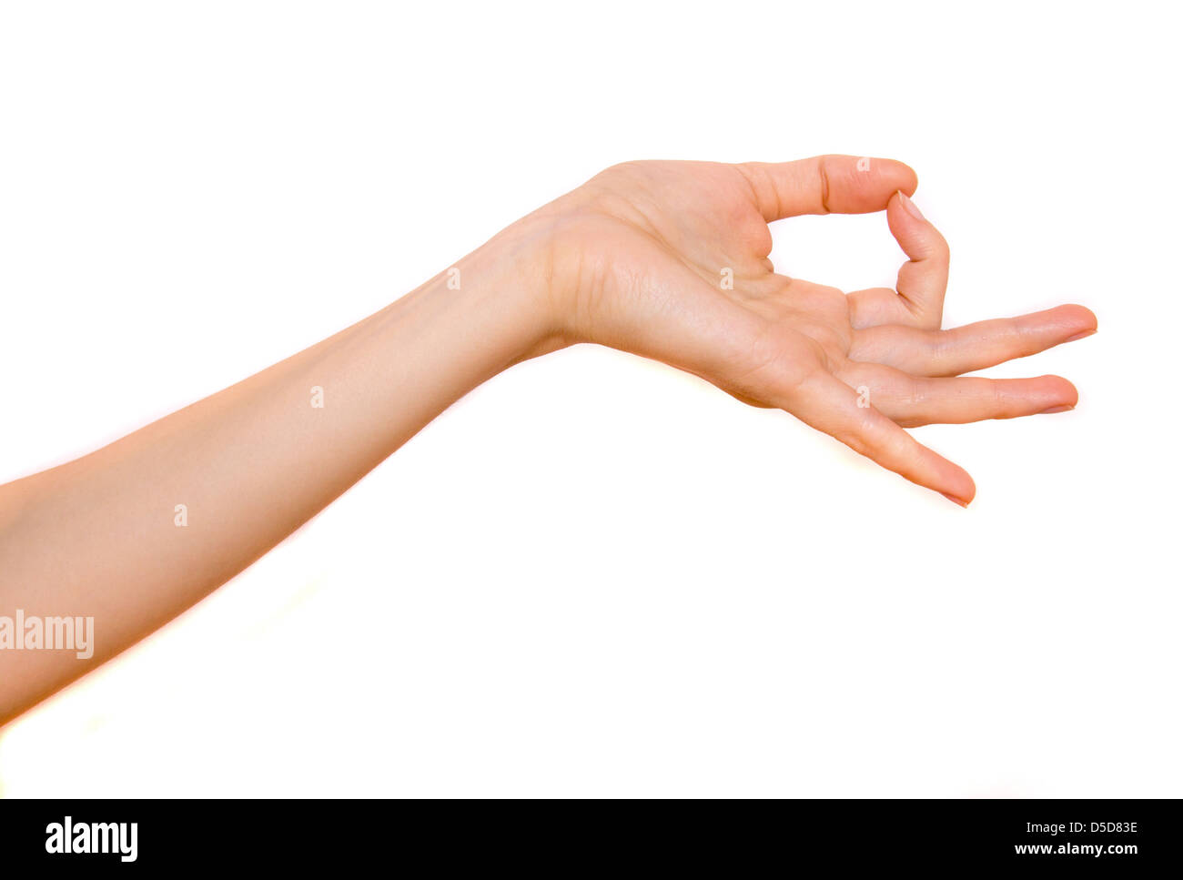 Yoga Hand weiblich isoliert auf weißem Hintergrund. Stockfoto