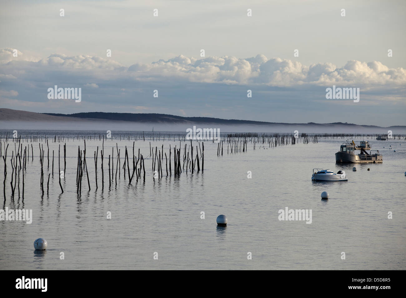 Beiträge markieren Austernbänke im Wasser in der Bucht von Arcachon an Lège-Cap-Ferret, Frankreich Stockfoto