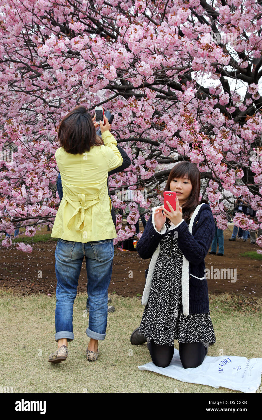 Tokio, Japan. 29. März 2013. Japaner Fotos und genießen Sie den Frühling Cherry Blossom Time in Shinjuku Gyōen Park in Tokio, Japan. In diesem Jahr die Bäume blühten früher als üblich, aber das hielt Menschen genießen die traditionelle Picknicks und Essen und trinken unter den Blumen. Paul Brown / Alamy Live News Stockfoto