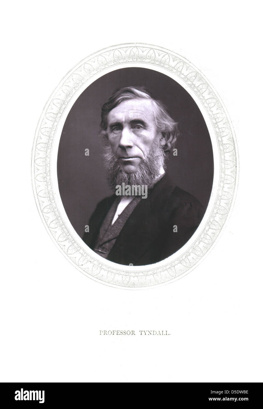Porträt von John Tyndall (1820-1893), Physiker Stockfoto