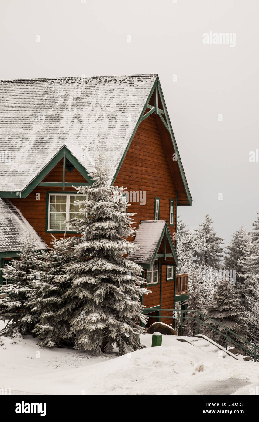 Ein Blockhaus während eines Schneesturms mit frischem Schnee bedeckt die Evergreens und das Dach. Schneeschuh, WV Stockfoto