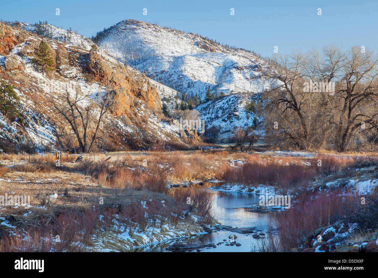 Winter im Bergtal in Colorado Rocky Mountains mit verbrannten Wald auf der Piste und North Fork des Cache la Poudre River Stockfoto