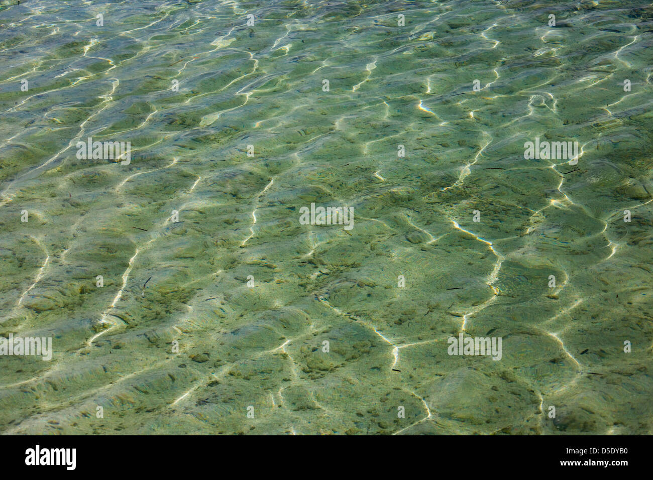 Wellen des Meerwassers, Belize Stockfoto