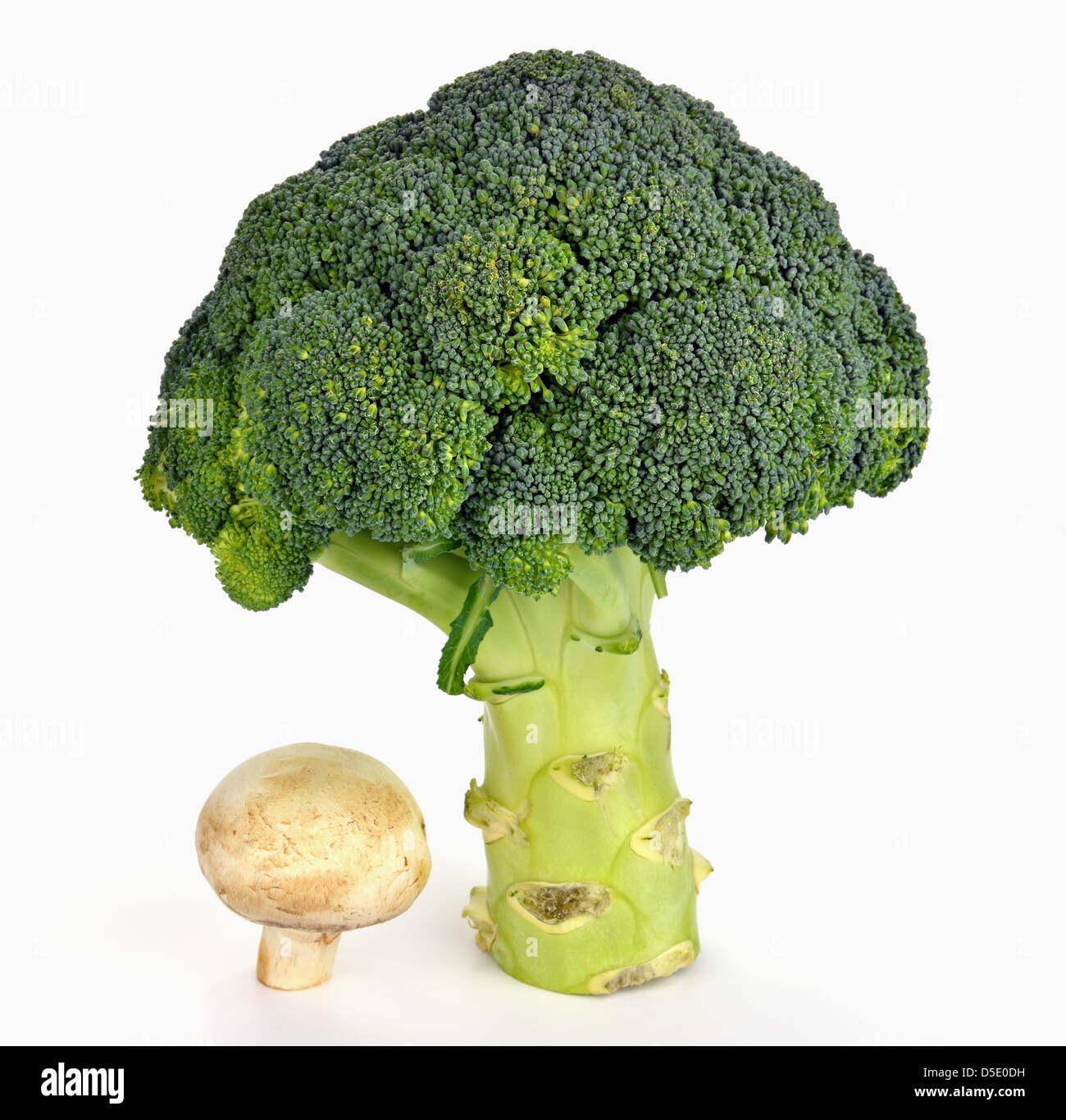 Gesundes Gemüse mit vielen Mineralien und Vitaminen Stockfoto