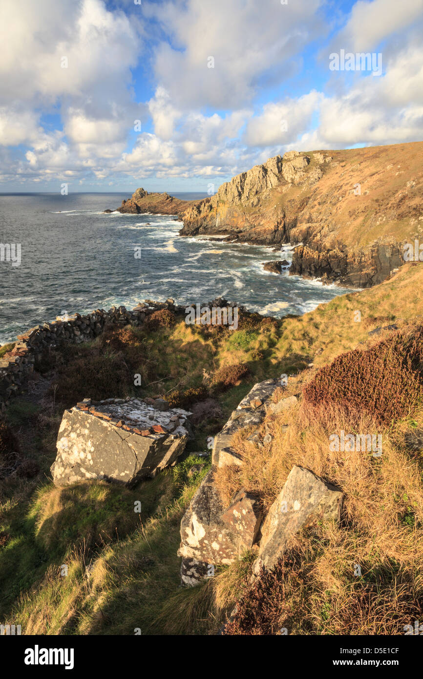 Knurrhahn Kopf auf der nördlichen Küste von Penwith in Cornwall Stockfoto