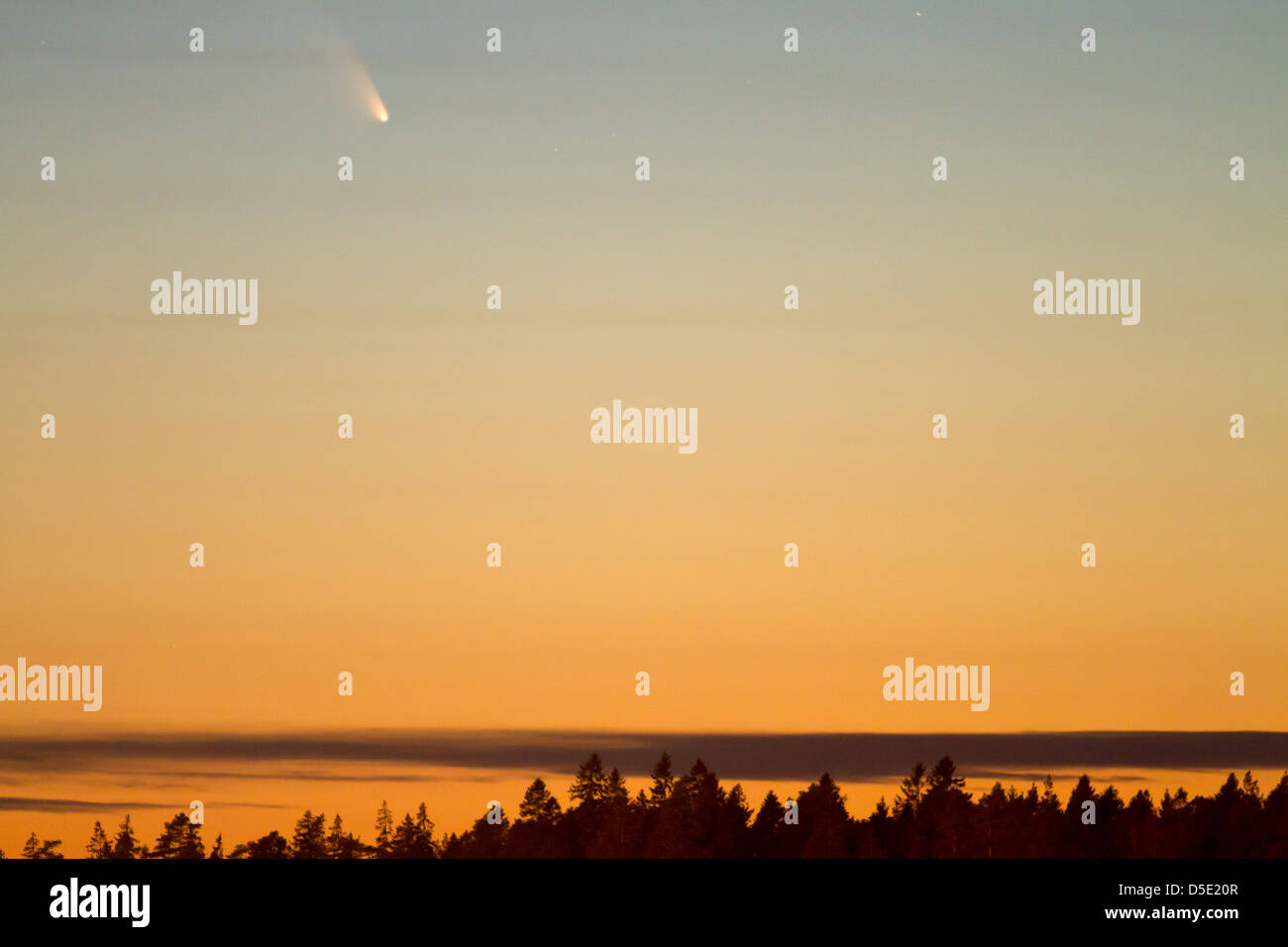 Pan-STARRS (C/201 L4) Kometen gesehen aus Schweden Stockfoto