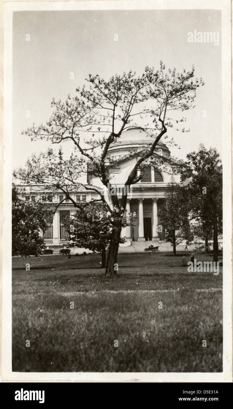 Ein Baum steht vor dem United States National Museum, das heute als National Museum of Natural History bekannt ist, in Washington, D.C. die ikonische Architektur und die historische Bedeutung des Museums stehen im Mittelpunkt des Bildes und zeigen einen Moment in der Zeit an diesem kulturellen Wahrzeichen. Stockfoto