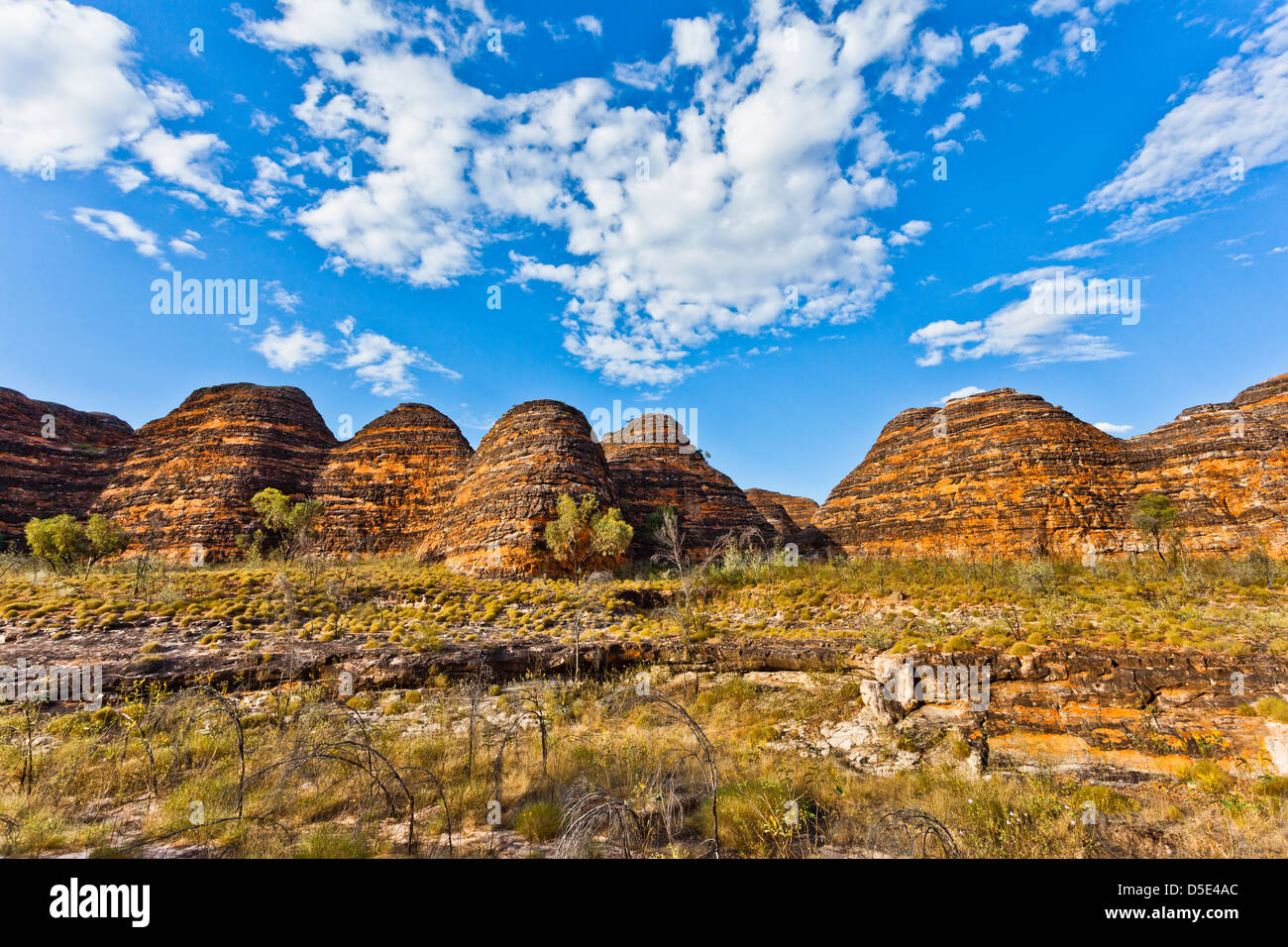 Australien, Western Australia, der Kimberley-Region, Bungle Bungle Nationalpark Purnululu Stockfoto