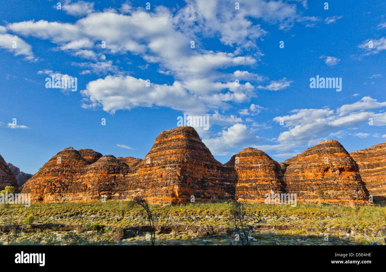 Australien, Western Australia, der Kimberley-Region, Bungle Bungle Nationalpark Purnululu Stockfoto